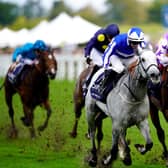Grey day: Art Power ridden by jockey David Allan, left, on their way to winning the Qipco British Champions Sprint Stakes at Ascot – a first Group One for both horse and rider. Picture: John Walton/PA Wire