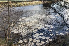 Ice pancakes on River Wharfe (Credit: Emma Draper/Discoverllkley)