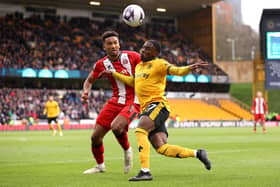 Auston Trusty joined Sheffield United in the summer of 2023. Image: Jack Thomas - WWFC/Wolves via Getty Images