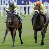 Big price: Doncaster Scarbrough Stakes winner Rogue Lightning, left, was sold for £1million at Ascot last Saturday. (Photo by Alan Crowhurst/Getty Images)