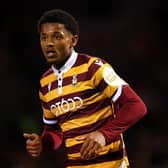 Adam Wilson salvaged a point for Bradford City Image: George Wood/Getty Images
