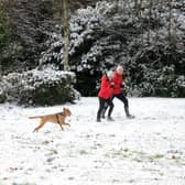 Dog walkers in Roundhay Park in the snow. (Pic credit: Steve Riding)