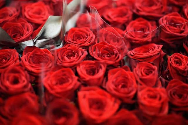 A close-up view of flowers. (Pic credit: Jeff J Mitchell / Getty Images)