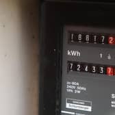 Library image of a domestic household electricity meter. EDF, Octopus and Scottish Power have been given permission to return to forcibly fitting prepayment meters (PPMs) after they were temporarily banned following a scandal around the practice.(Photo by PA)