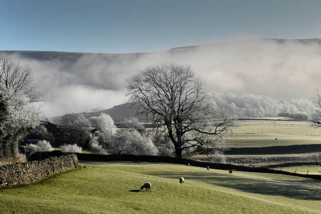Mist hangs low over fields at Applereewick - a Yorkshire Dales village.