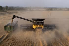 A combine harvester cuts corn in the evening sunshine on the Romney Marsh in Kent.   Gareth Fuller/PA Wire
