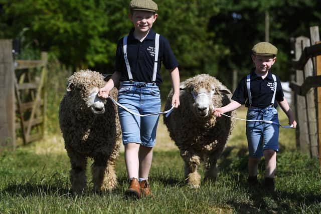 Peter's grandsons, Samuel (8) and Benjamin (5) holding their Lincoln Longwool sheep
Photographed by Yorkshire Post photographer Jonathan Gawthorpe.
14th June 2023.