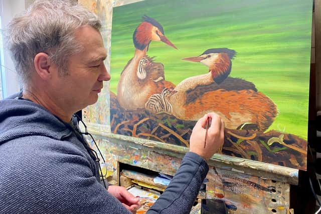 Wildlife artist ​Robert E Fuller at work on his new painting of great crested grebes