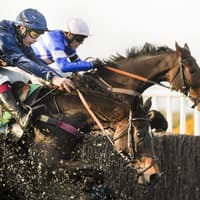 Wetherby Racecourse in 