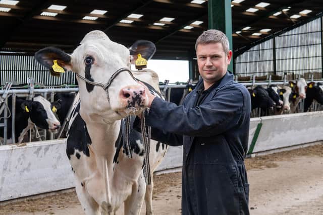 James Pratt and his prize winning Wensleydale Show cow.