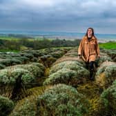 Emma Waddington at Yorkshire Lavender, the farm her father bought