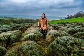 Emma Waddington at Yorkshire Lavender, the farm her father bought