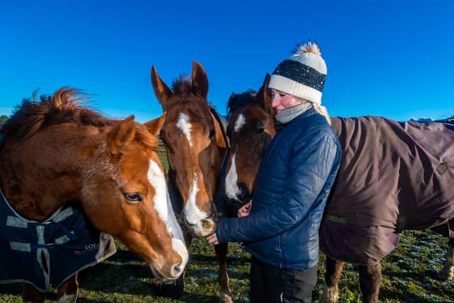 Racehourse trainer Neville Ender, of Swallows Barn, East Heslerton, Malton, North Yorkshire. Pictured Sarah Ender, aged 34, with some of their racehorses.