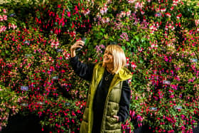 Christine Talbot, journalist and former TV presenter for ITV Calendar taking a selfie infront of a display of Fuchsias, by Roualeyn Fuchsias Nursery, based in North Wales. Picture By Yorkshire Post Photographer,  James Hardisty.