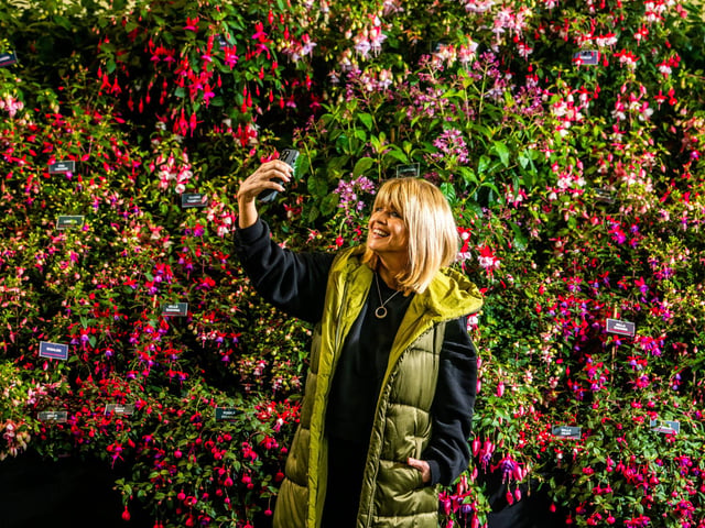 Christine Talbot, journalist and former TV presenter for ITV Calendar taking a selfie infront of a display of Fuchsias, by Roualeyn Fuchsias Nursery, based in North Wales. Picture By Yorkshire Post Photographer,  James Hardisty.