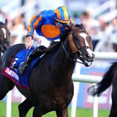 Scandinavia ridden by Tom Marquand on their way to winning the Betfred St Leger Stake during St Leger Day of the Betfred St Leger Festival 2025 at Doncaster racecourse (Picture: Mike Egerton/PA Wire)