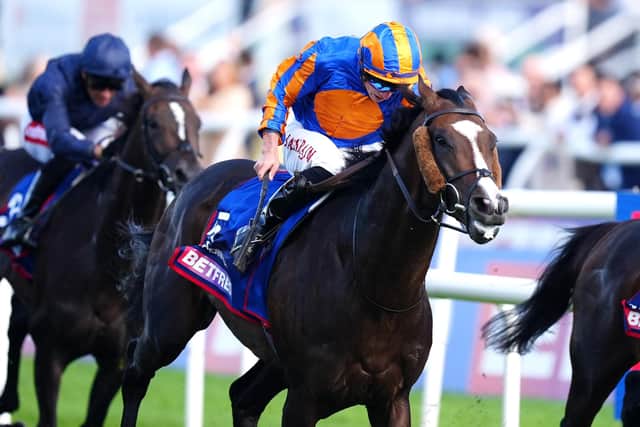 Scandinavia ridden by Tom Marquand on their way to winning the Betfred St Leger Stake during St Leger Day of the Betfred St Leger Festival 2025 at Doncaster racecourse (Picture: Mike Egerton/PA Wire)