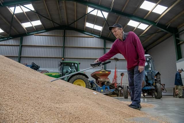 Pete Fall testing temperature and moisture content in biscuit wheat at his farm near Leyburn. The rock night takes place in the grain store