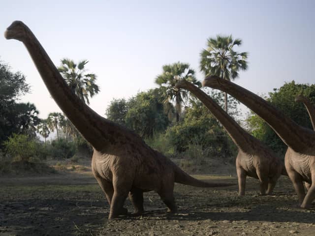 Prehistoric Planet 2. Pictured: Rapetosaurus, a long-necked sauropod from Madagascar.  Photo: Apple TV+.