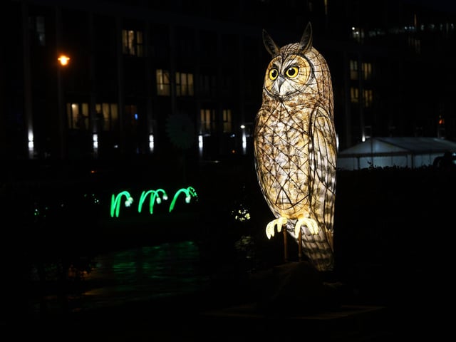 The Awakening light festival in Hull. Lantern Company's Nature Nocturnal captured by The Yorkshire Post photographer Jonathan Gawthorpe.
