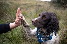 High five for Reid after another successful expedition