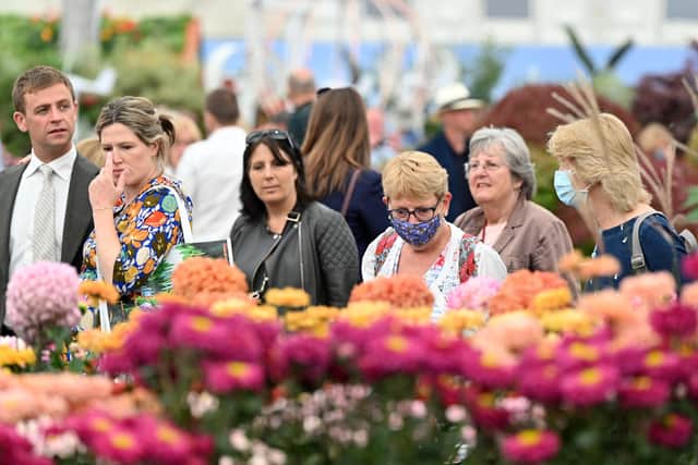 Members of the public look at displays on show at the 2021 RHS Chelsea Flower Show in London. Photo by JUSTIN TALLIS/AFP via Getty Images.