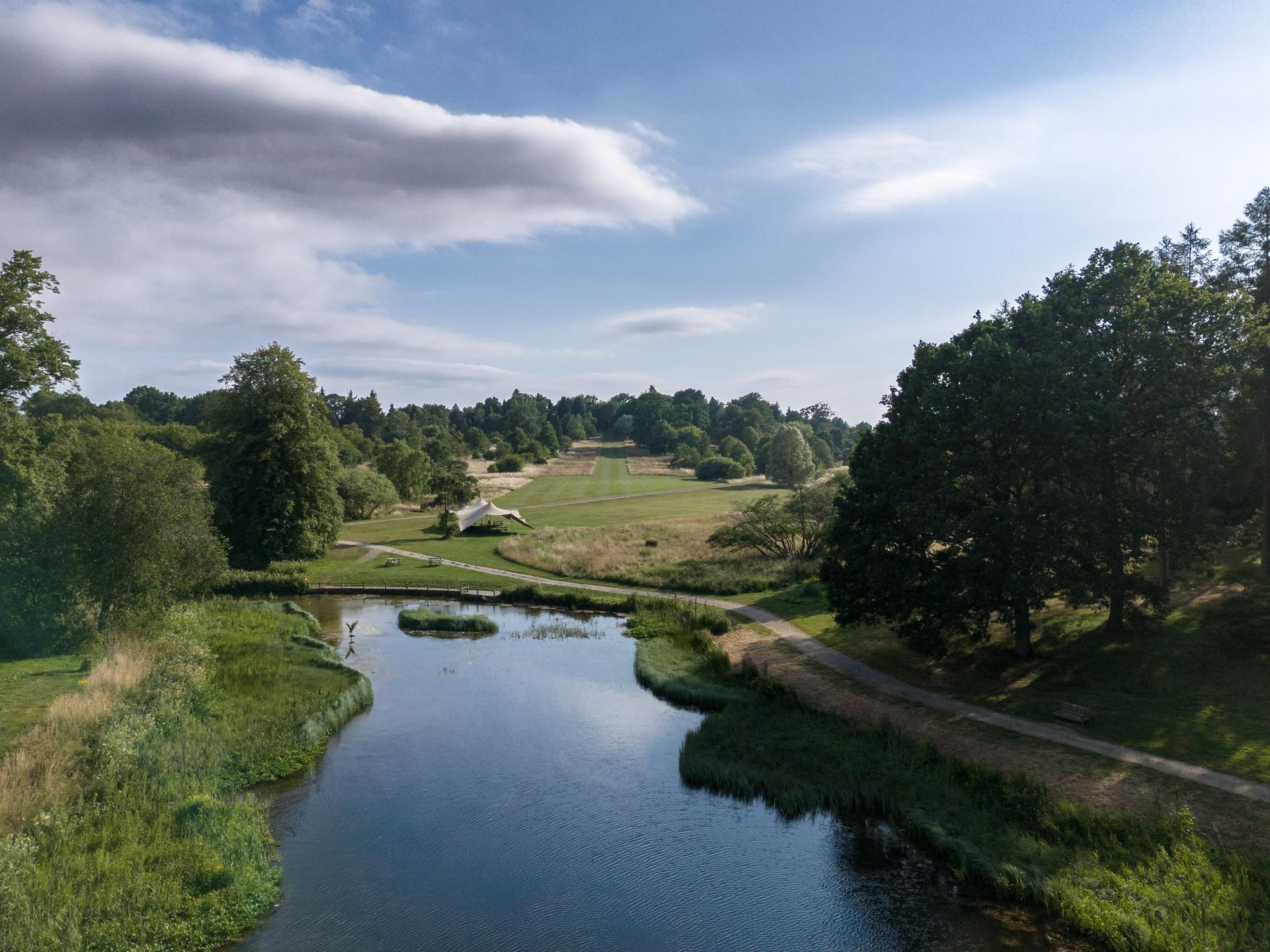 Castle Howard Arboretum: Cinnamon the squirrel joins red revival