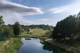 Castle Howard's arboretum.