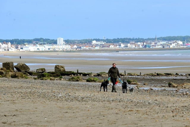 Dogs are allowed at Fraisthorpe beach throughout the year as long as dog walkers clean up after their pets and are considerate of other beach visitors.