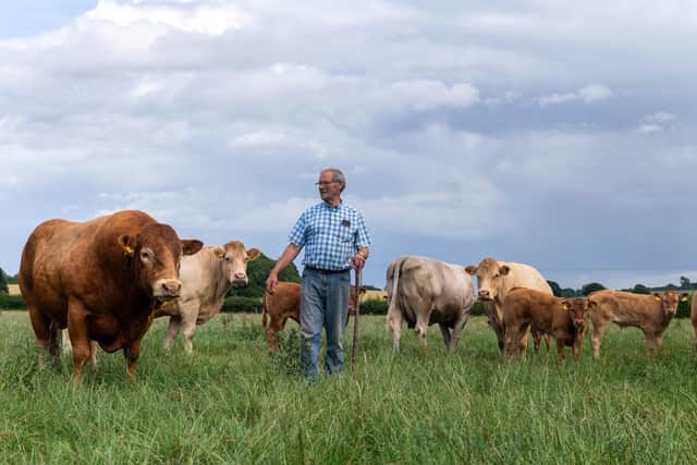 David Wass who is President of the Ryedale Show this year - and farms across 450 acres , pictured with some of his cattle.