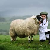 Experienced sheep showgirl, seven-year-old Edie Pepper with her Derbyshire Gritstone sheep. Picture Jonathan Gawthorpe