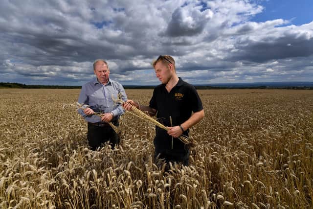 David Teasdale with his son Jamie in a field of wheat at Wethercote Farm Skiplam