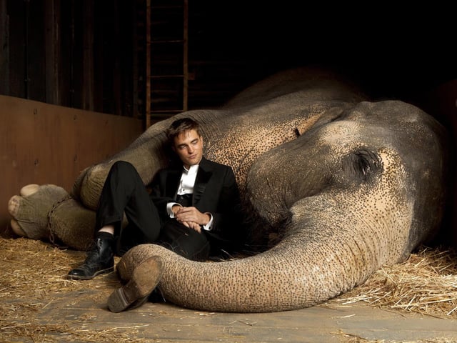 In this romantic drama, Pattinson stars as Jacob, a man who joins a travelling circus and soon falls in love with the bosses daughter, Marlena. Available to stream on Amazon Prime.