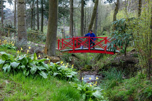 Head gardener Joel Dibb spruces up the Himalayan Garden & Sculpture Park near Ripon ready for visitors in spring , photographed for The Yorkshire Post by Tony Johnson.