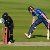Falling short: Yorkshire's Matthew Revis is run out by Worcestershire's Ben Cox during the Vitality Blast T20 match.