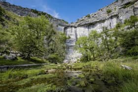 One in three visitors to Malham – famous for its limestone pavement featured in Harry Potter and the Deathly Hallows – were under the age of 44