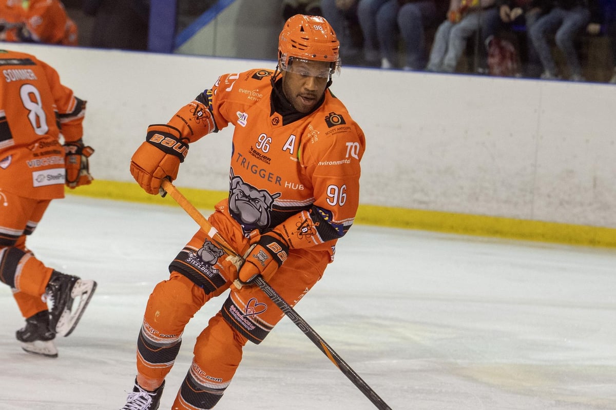 Sheffield Steeldogs target good habits to help exact swift revenge over Telford Tigers