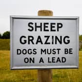 Distracted dog owners who believe their pets would never attack farm animals are putting sheep in the North East at risk of horrific and fatal injuries, new research from NFU Mutual reveals.