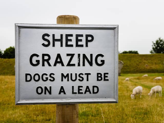 Distracted dog owners who believe their pets would never attack farm animals are putting sheep in the North East at risk of horrific and fatal injuries, new research from NFU Mutual reveals.