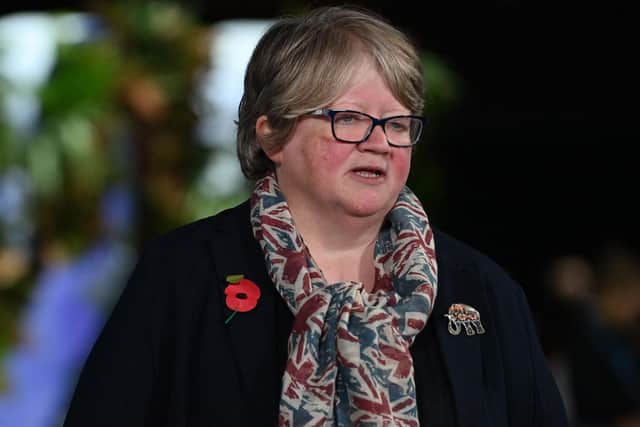Thérèse Coffey is Secretary of State for Environment, Food and Rural Affairs. PIC: PAUL ELLIS/AFP via Getty Images