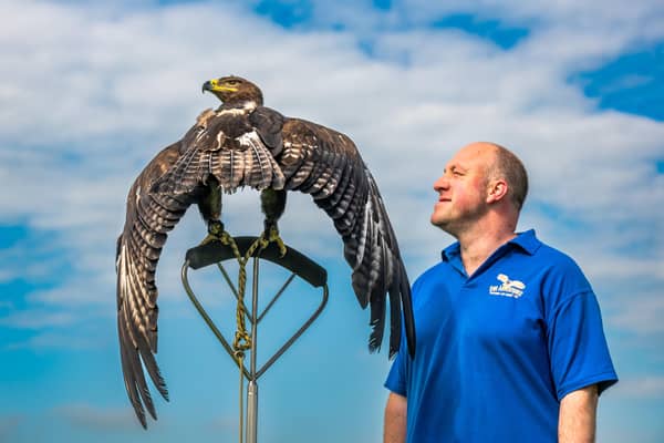 Eyan Stocks, owner of 'Owl Adventures' and Falconry & Mobile Zoo based at Ripon, with a 10 year old Steppe Eagle called Storm.