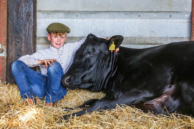 Joe Trofer on his farm in Lincolnshire with his cow, Rosie.