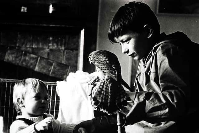 Kes (Photo by FilmPublicityArchive/United Archives via Getty Images)