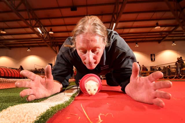 Springtime Live at the Great Yorkshire Showground, Harrogate. Simon Bishop with his ferret Tommy  pictured at the event. Picture taken by Yorkshire Post Photographer Simon Hulme 1st April 2023