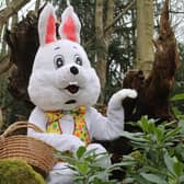 Easter at Chatsworth, the Easter Bunny. (Pic credit: Jason Chadwick)