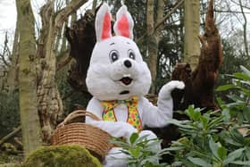 Easter at Chatsworth, the Easter Bunny. (Pic credit: Jason Chadwick)