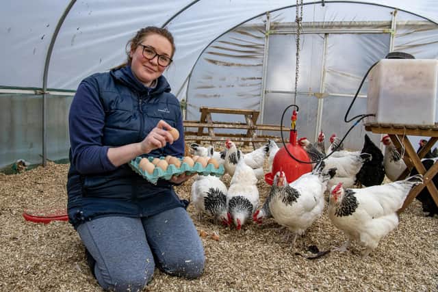 Rebecca Robson with heritage breed chickens in Holmfirth