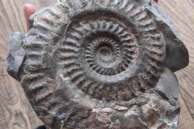 A large ammonite found on a beach near Filey. (Pic credit: Patricia Jackson)