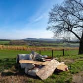 Fly-tipping is becoming a blight on rural and countryside areas warned the CLA.
Picture: Adobe Stock