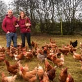 Chris Plume with his wife Sarah with their free range hens at Linthwaite Farm, Linthwaite Lane, Wentworth, Rotherham